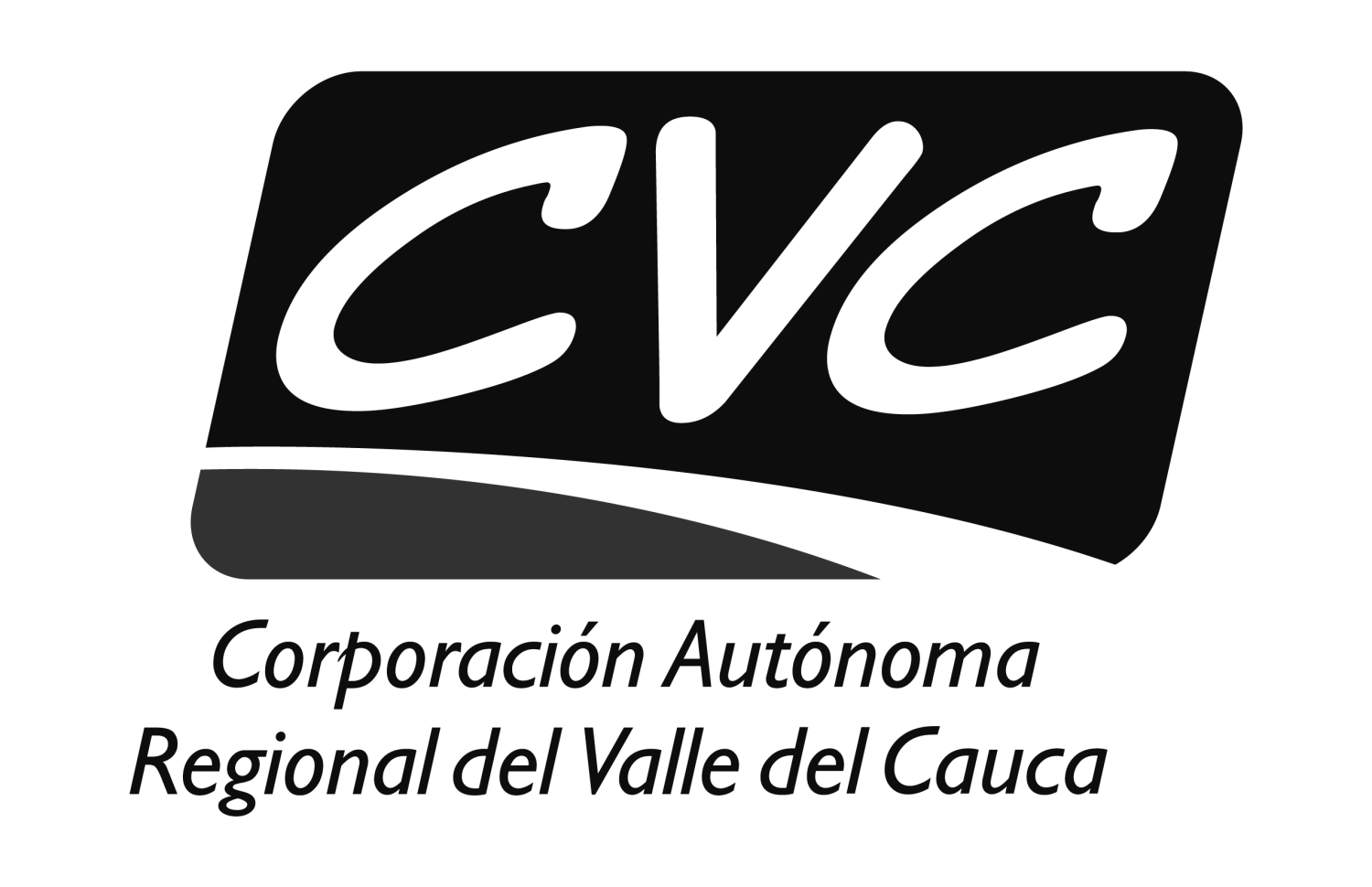 logo 2020cvc-01byn